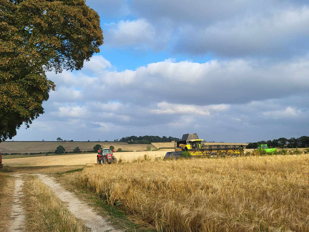 Farming at Charlie & Ivy's